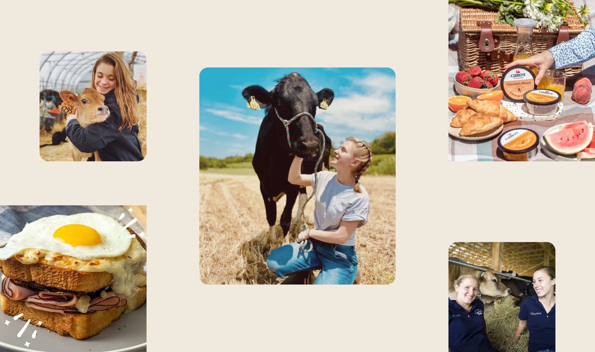 Food brand influencer campaign reporting in InfluenceKit